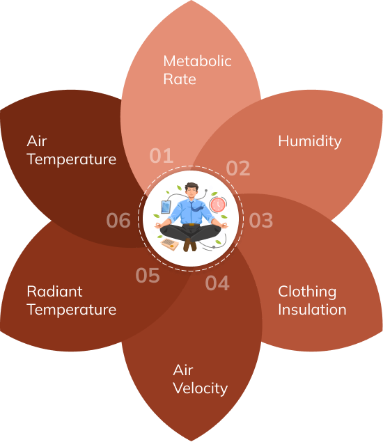 aboutUsSectionRightImage